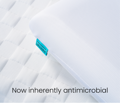 Sleep Posture Pillow