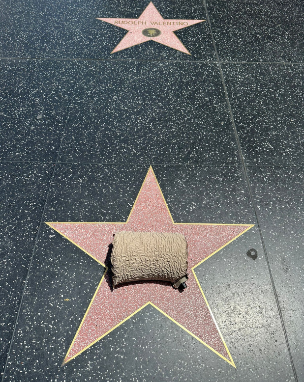 Rolled up travel pillow on a pink walk of fame star in hollywood